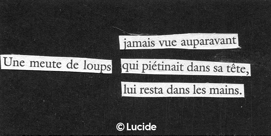 Une meute de loups - jamais vue auparavant - qui piétinait dans sa tête, - lui resta dans les mains.