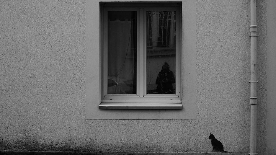 Photo en noir et blanc de mon reflet dans une fenêtre. Un chat noir est peint sous cette même fenêtre.
