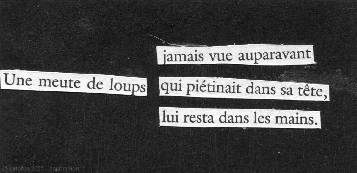 Une meute de loups - jamais vue auparavant - qui piétinait dans sa tête - lui resta dans les mains