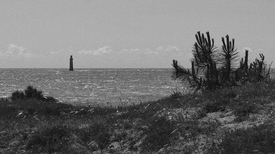 Un phare au loin, dans l'océan, et la végétation au premier plan.